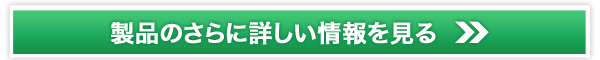 v~AugD[X| Ί炫炫P̔TCg